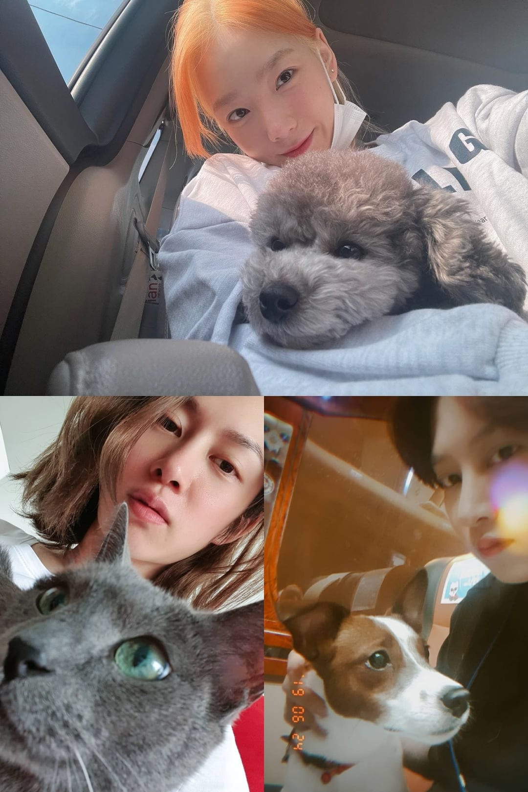 Taeyeon and Kim Hee Chul Confirmed to Join the New Variety Show  Petkage  with Their Pets - 14