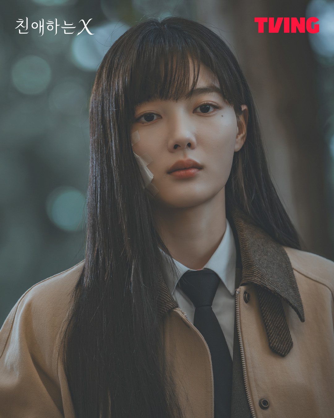 tving dear x director lee eung bok