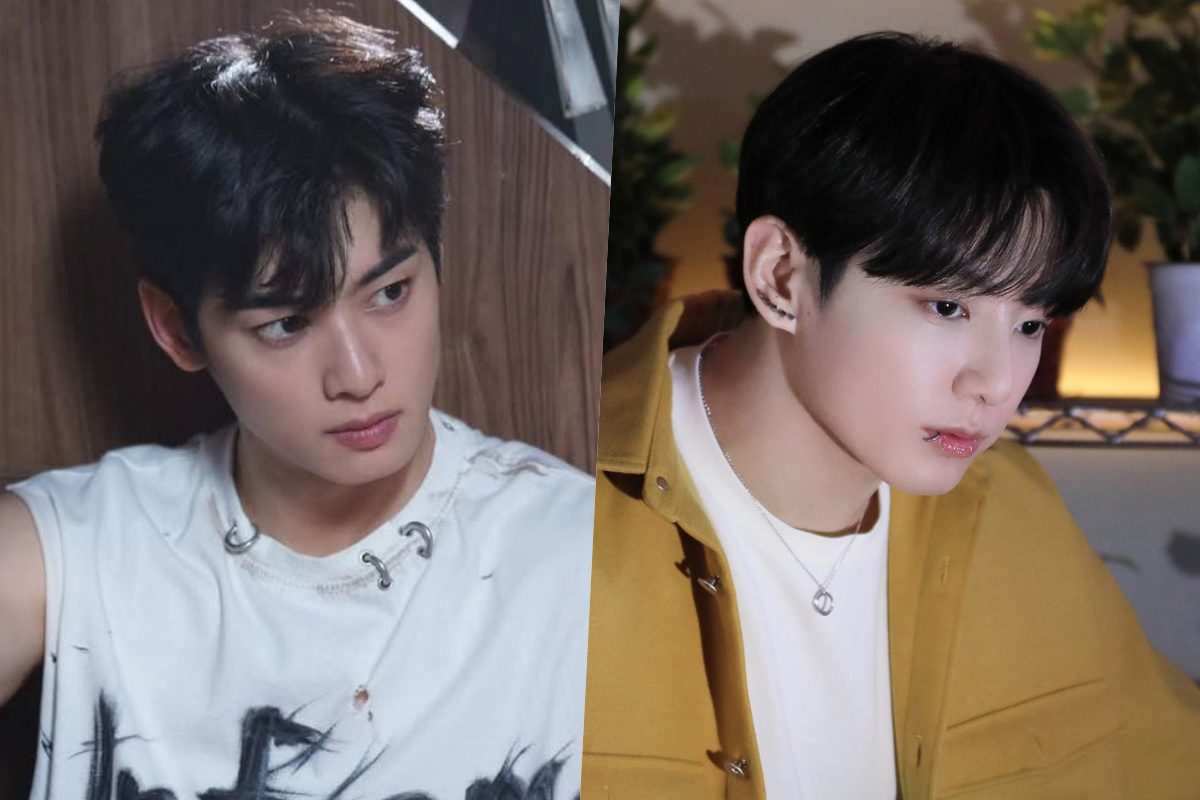 jungkook cha eun woo tiktok