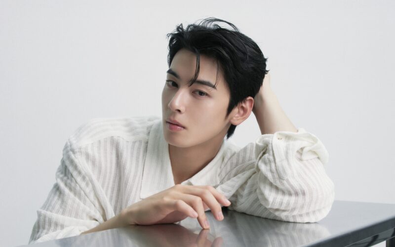 cha eun woo tax evasion