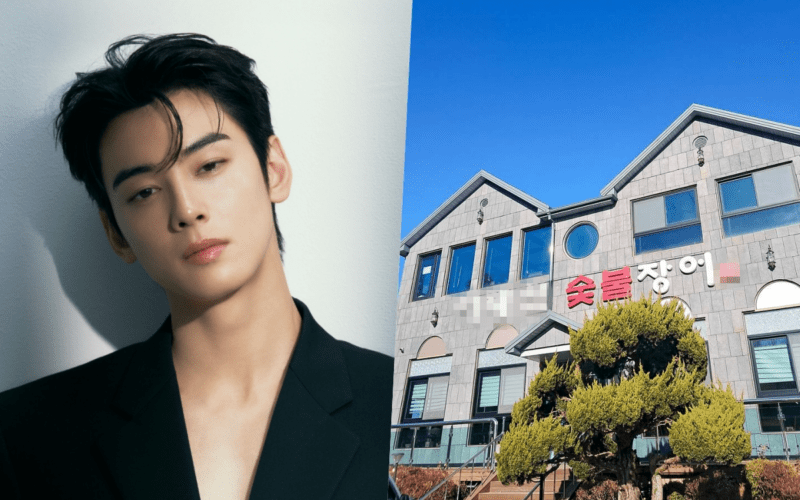 cha eun woo tax evasion