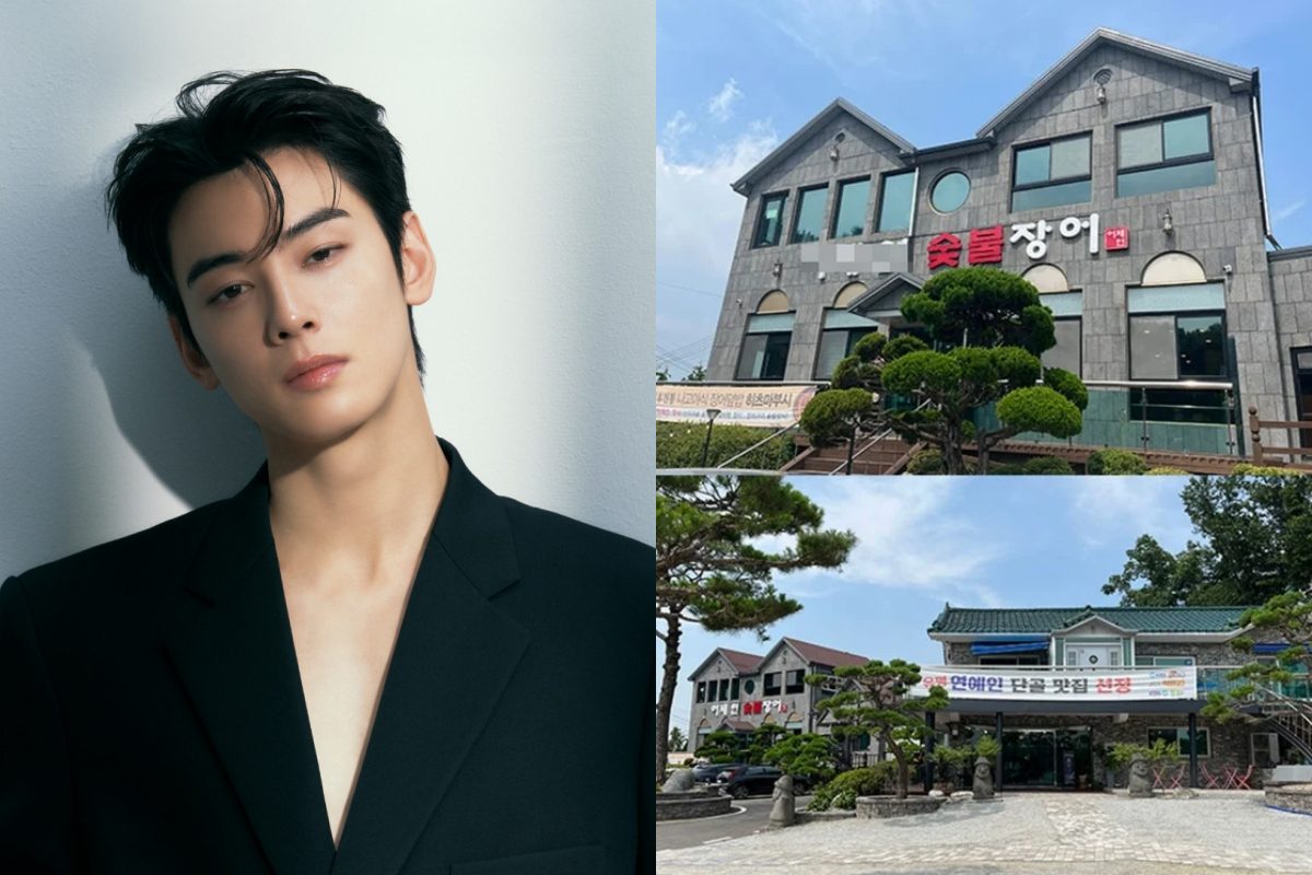 cha eun woo tax evasion