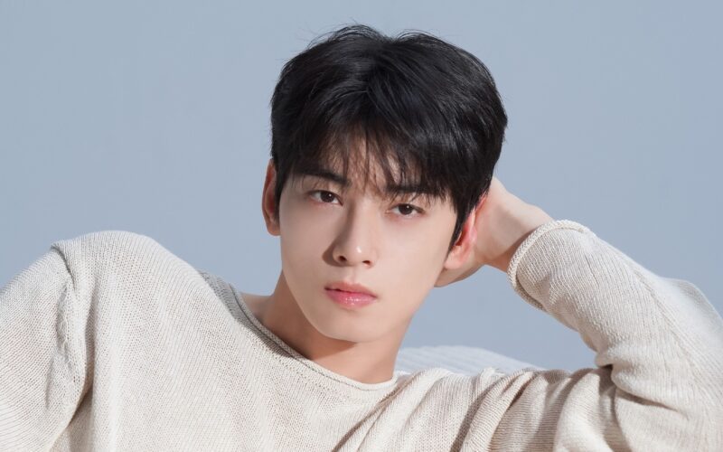 cha eun woo tax controversy