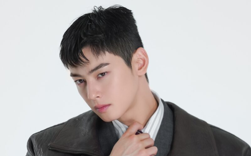 cha eun woo lawfirm