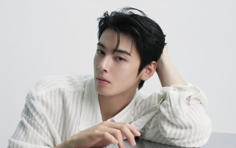 cha eun woo tax evasion