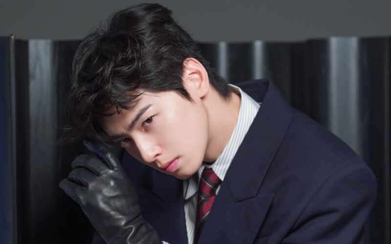 cha eun woo ad penalty