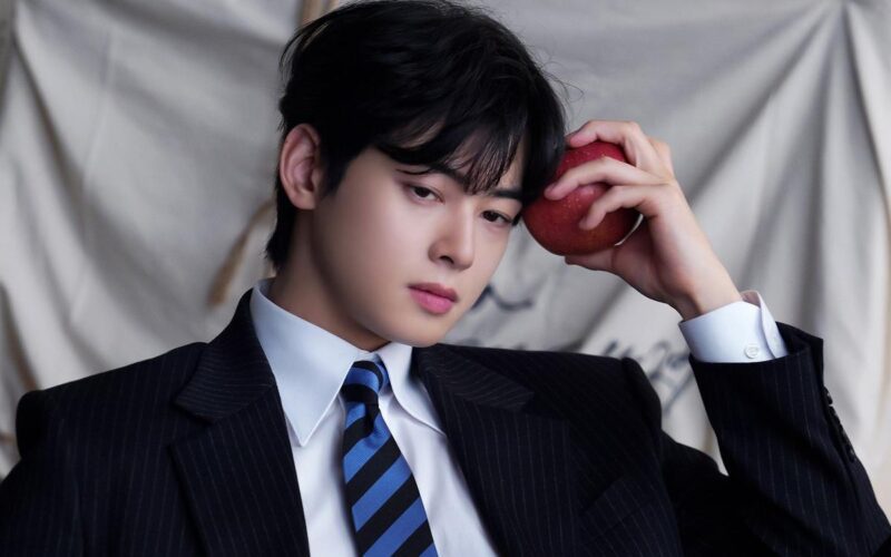 cha eun woo tax