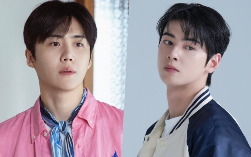 kim seon ho cha eun woo