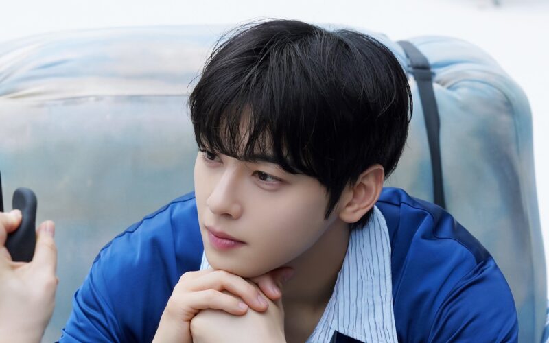 cha eun woo tax
