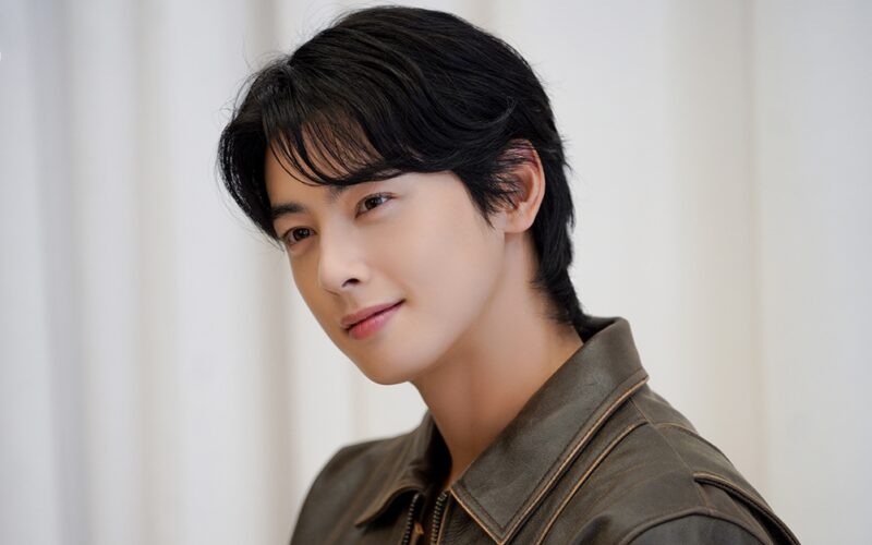 Cha Eun Woo tax evasion