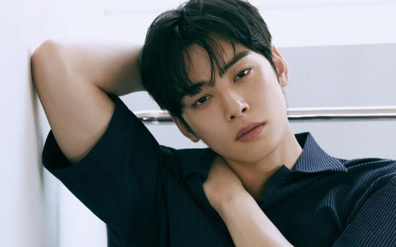cha eun woo tax issue