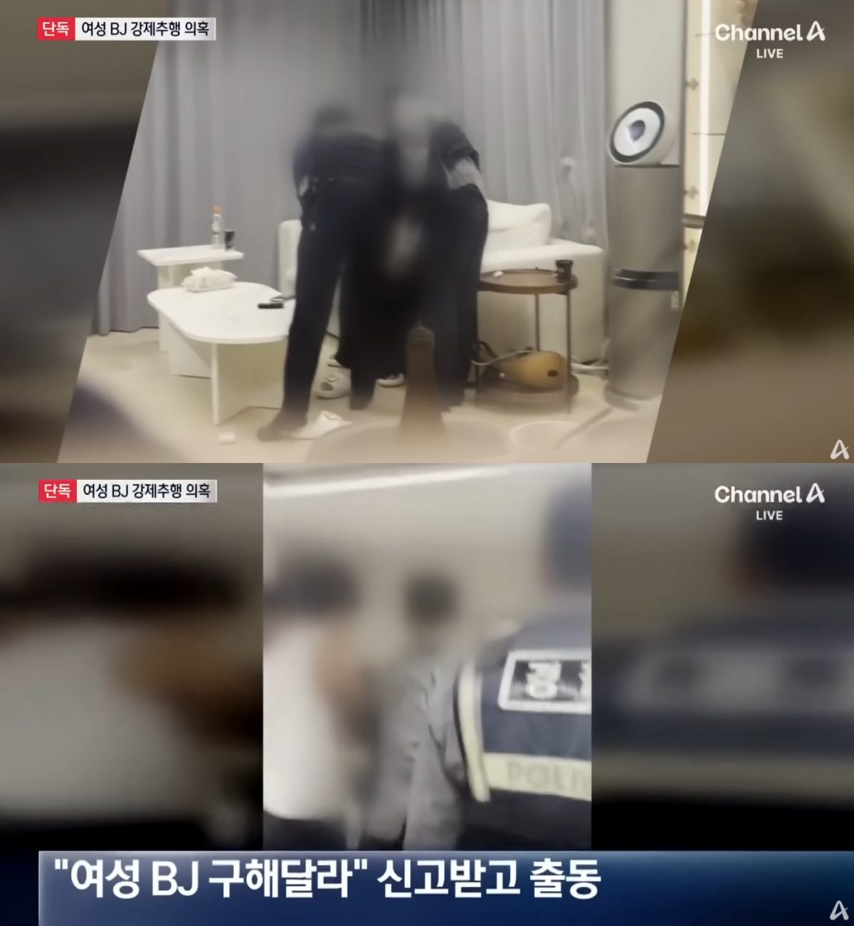 blackpink jisoo brother