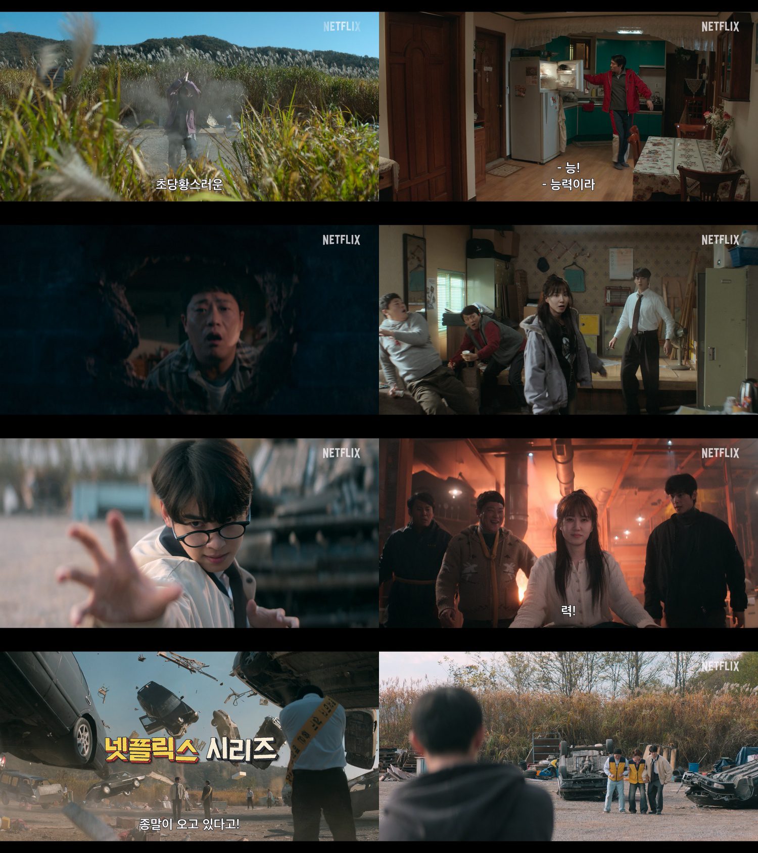 the wonderfools netflix