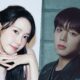 baeksang arts awards 2026 popularity award