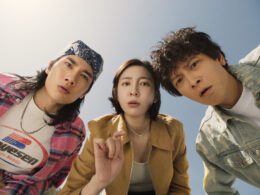 wild sing box office