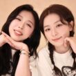 Red Velvet Seulgi Cousin