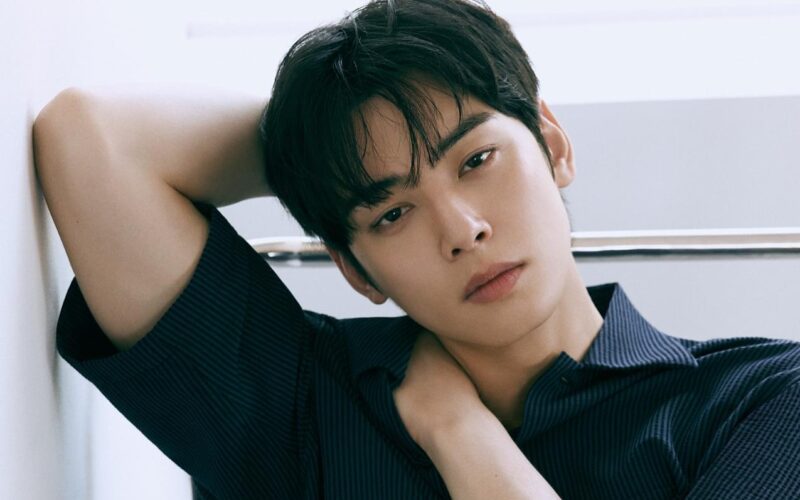 cha eun woo military