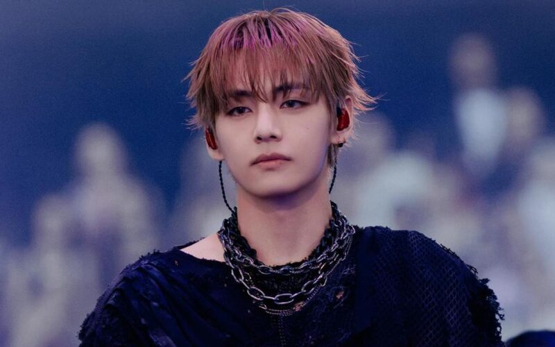BTS' V Asks Fans Not to Visit His Hotel During Tour - ZAPZEE