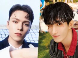 seventeen dk vernon enlistment