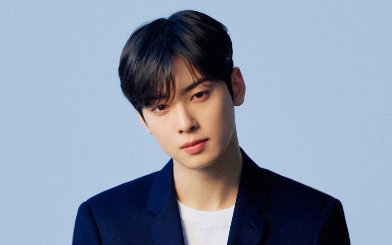 cha eun woo tax appeal