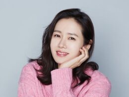 son ye jin Chef and My Fridge