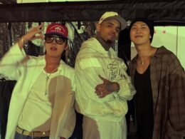chris brown bts fan