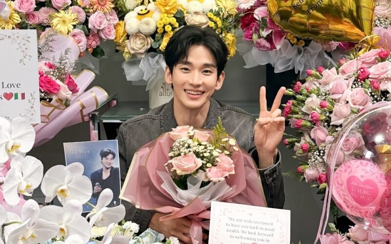 kim soo hyun